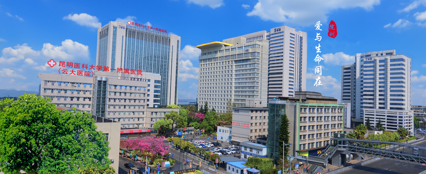 The First Affiliated Hospital of Kunming Medical University